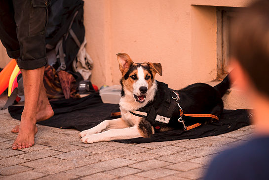 21.06.2019 7. Fete de la Musique (Foto 161)