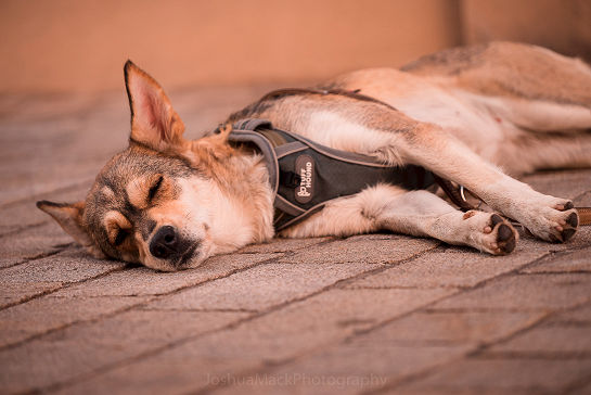 21.06.2019 7. Fete de la Musique (Foto 162)