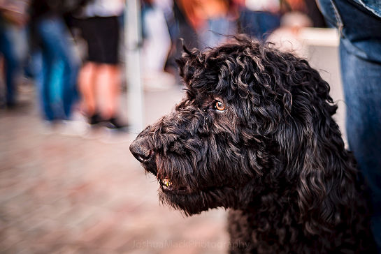 21.06.2019 7. Fete de la Musique (Foto 253)