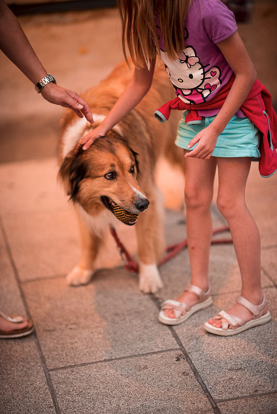 21.06.2019 7. Fete de la Musique (Foto 267)