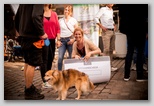 21.06.2024 12. Fete de la Musique (Foto 62 von Joshua Mack)